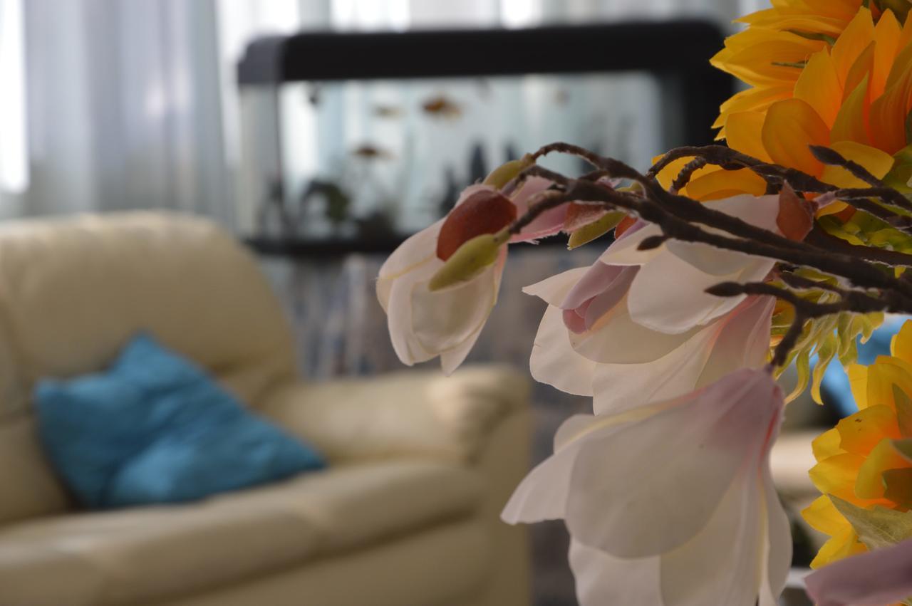 Hotel Fucsia Ριτσόνε Εξωτερικό φωτογραφία