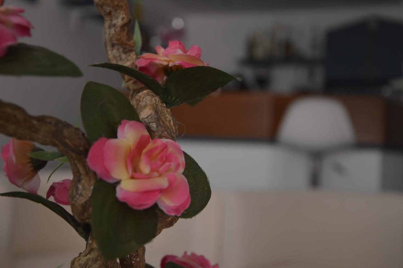 Hotel Fucsia Ριτσόνε Εξωτερικό φωτογραφία